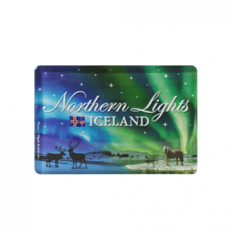 Northern lights with horse magnet