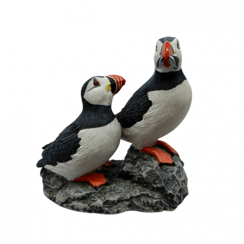 Two puffins with fish