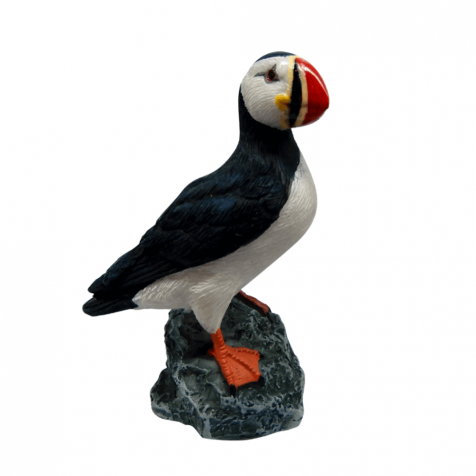 Puffin standing on rock