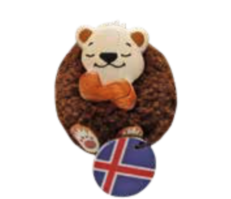 Brown bear magnet