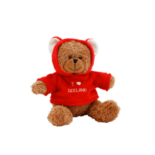 hoodie teddy bear